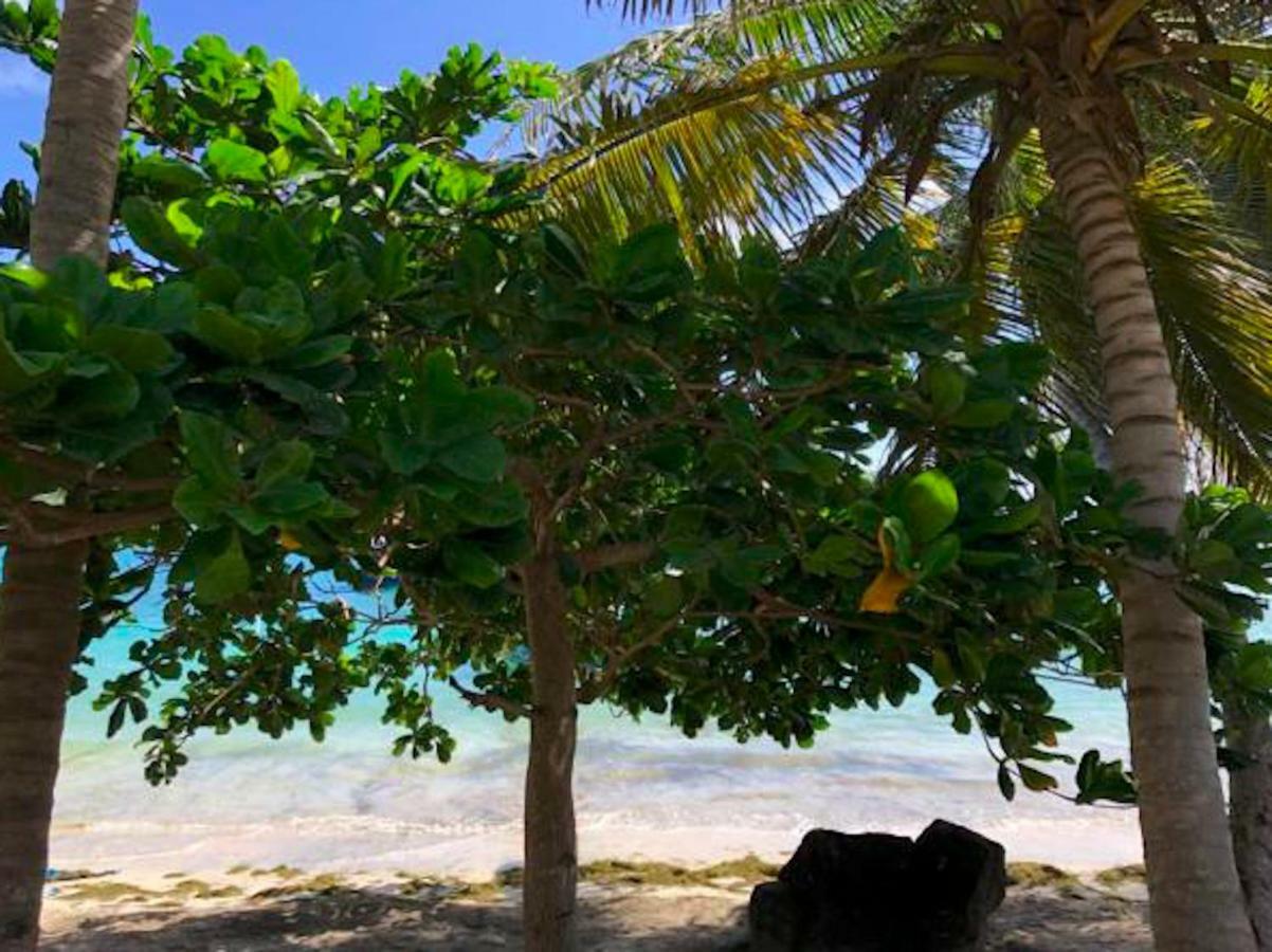 Bequia Beachfront Villa Hotel Friendship Ngoại thất bức ảnh