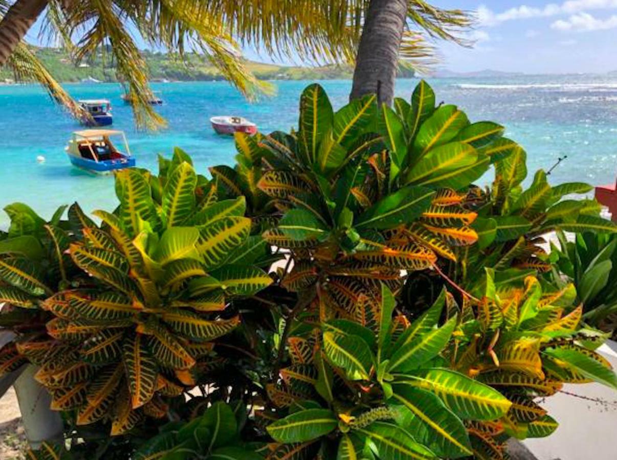 Bequia Beachfront Villa Hotel Friendship Ngoại thất bức ảnh